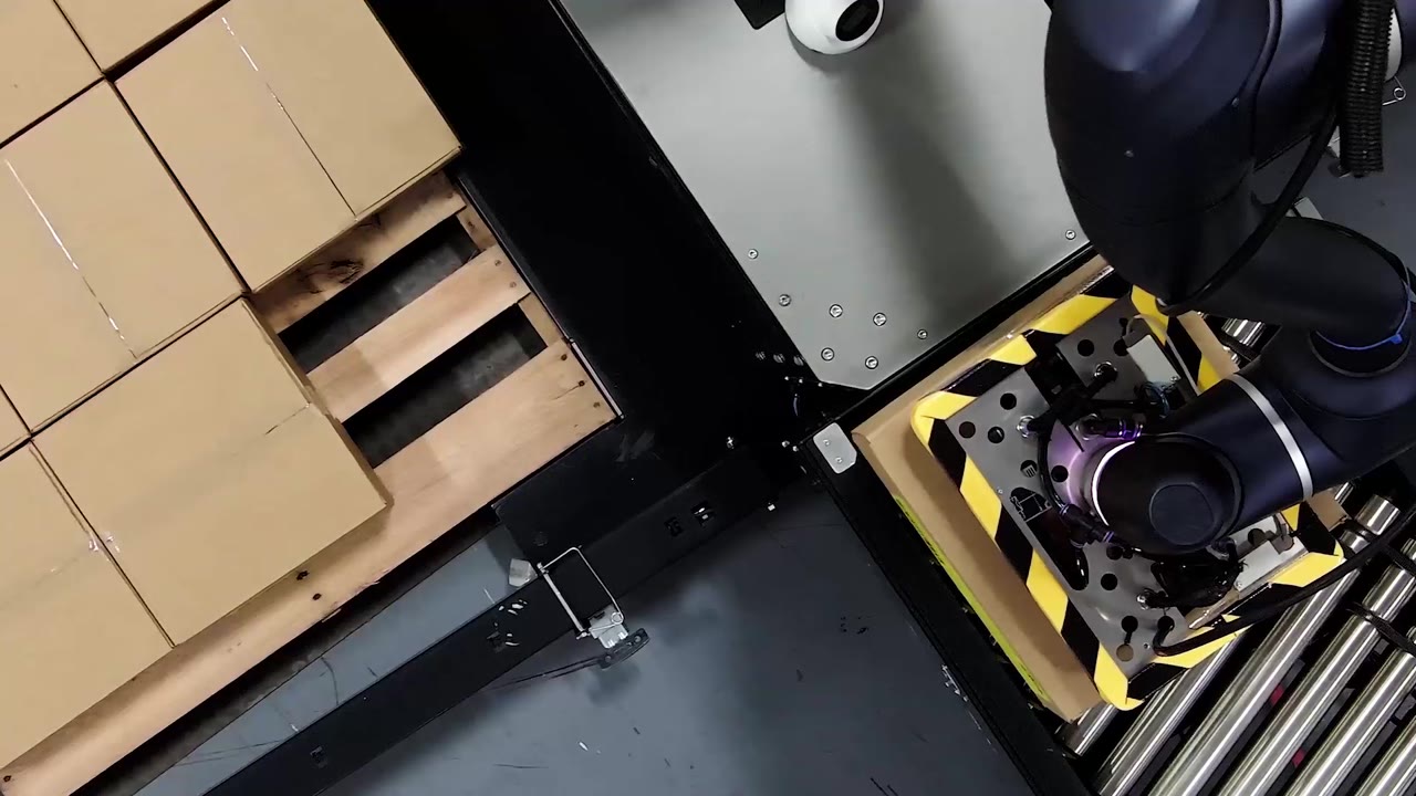 Cases arriving at a palletizing cell gripper at the end of a line.